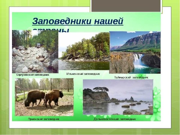 Заповедники заказники национальные парки