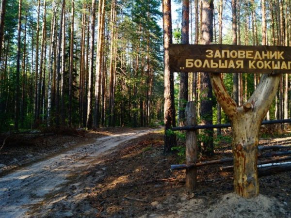 Заповедник большая Кокшага