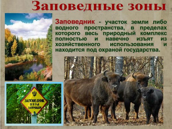 Что такое заповедник и национальный парк