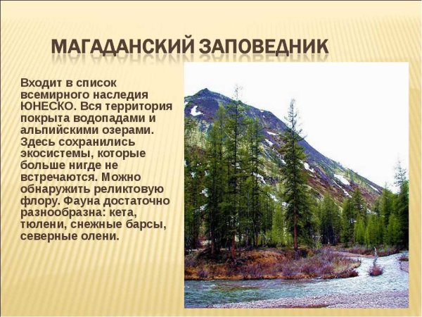 Проект заповедники России