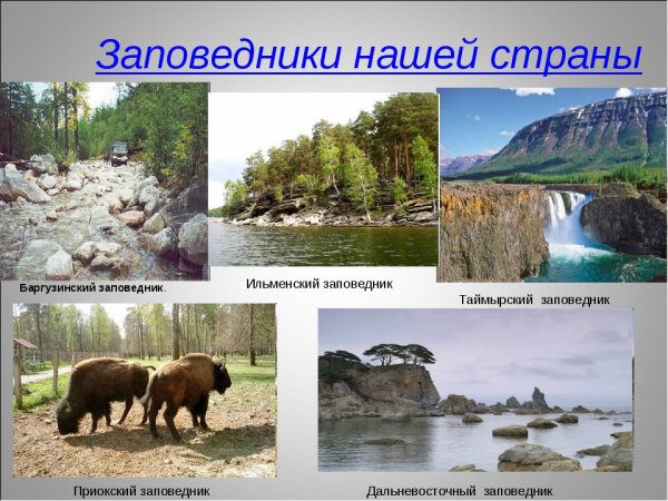 Природные заповедники и национальные парки России