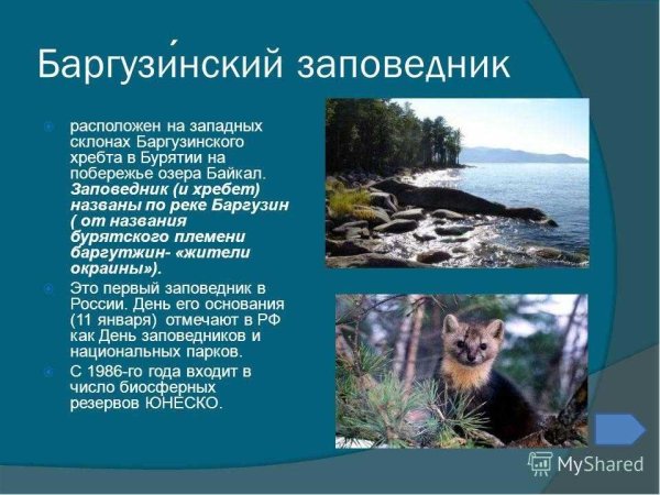 Заповедники нашей страны