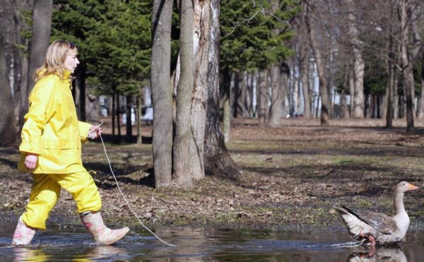 Приколы в парке