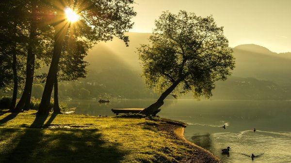 Жизнь природа