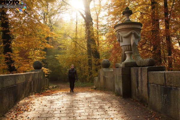 Старый парк осень