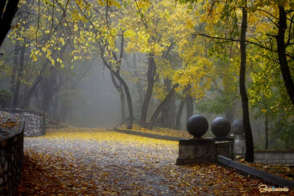 Старый парк Железноводска