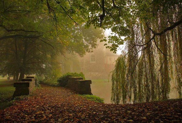 Старинный парк