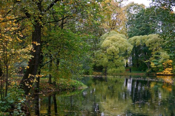 Шишкин пруд в Старом парке