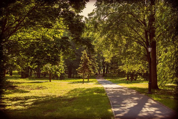 В Старом парке