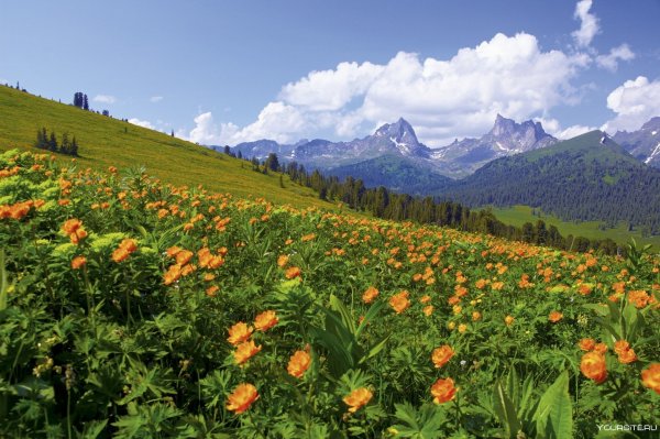 Природа России заповедники