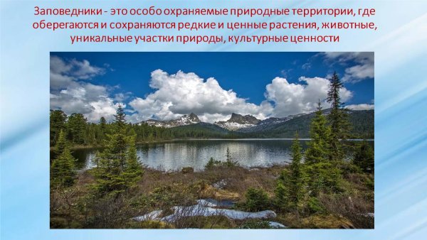 Заповедники природных зон России