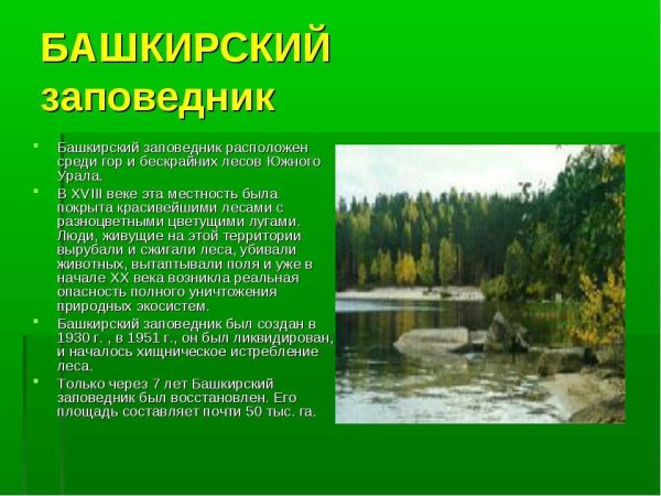 Башкирский заповедник презентация