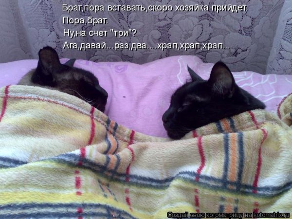 Пора вставать