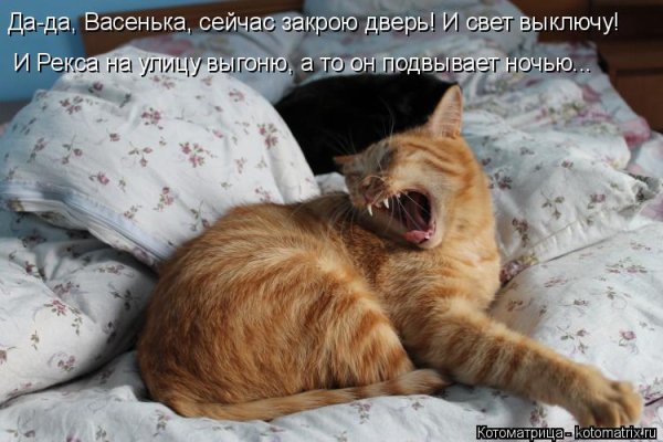 Лень просыпаться