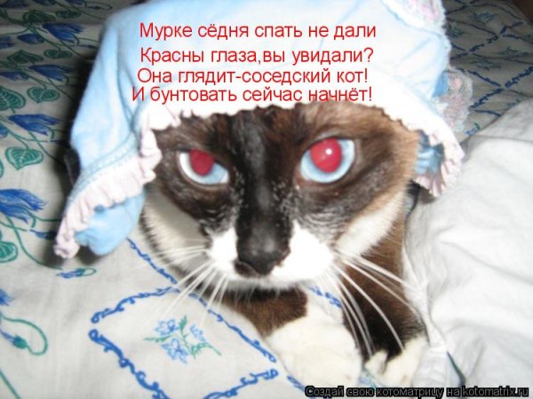 А теперь спать картинки