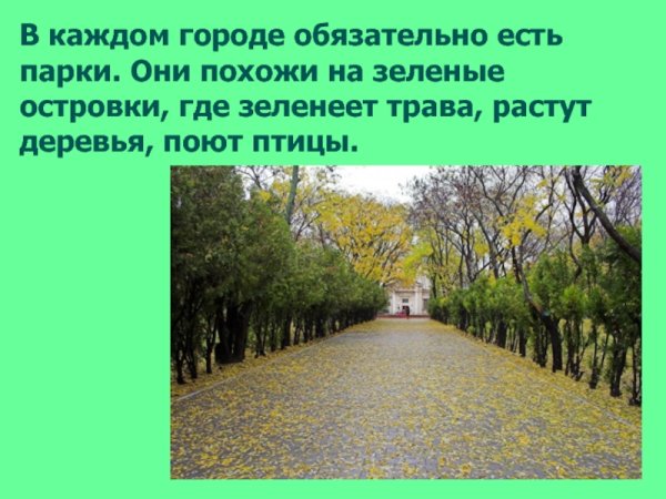 Тема презентации парки