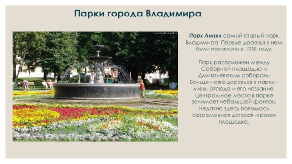 Владимир парк Липки картина
