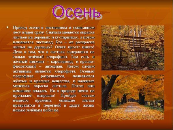 Осень описание природы