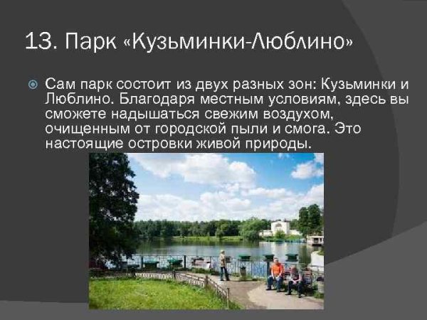 Парк Кузьминки проект