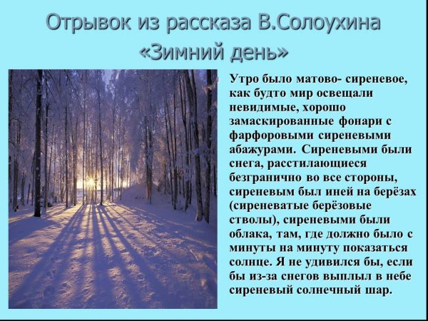 Описание зимней природы