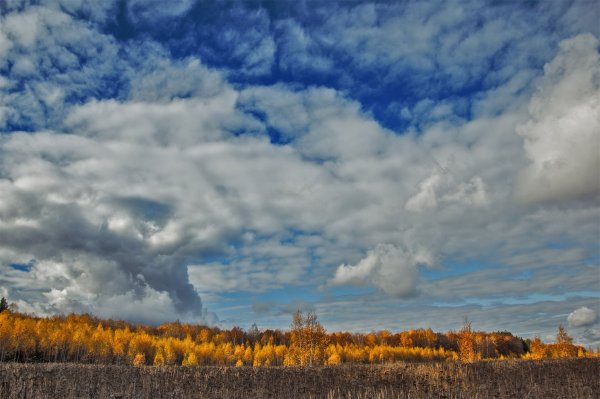 Пасмурное небо осенью