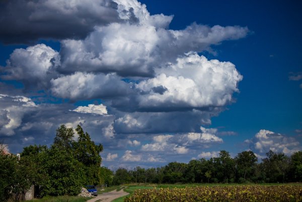 Слоисто Кучевые