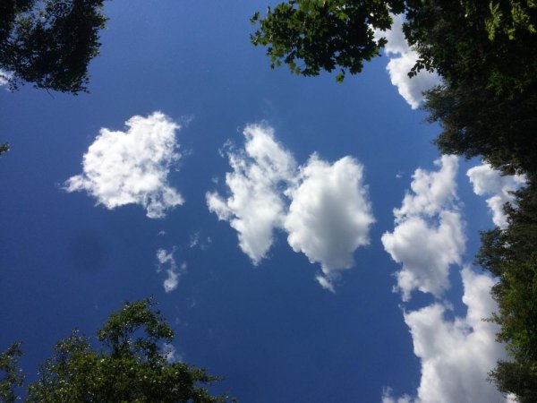 Небо с белыми облаками