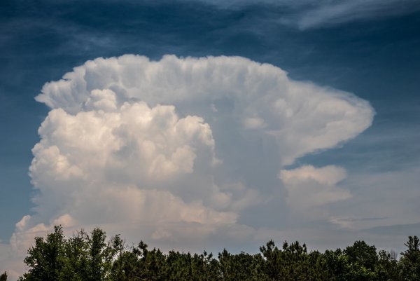 Кучеряво дождевые облака