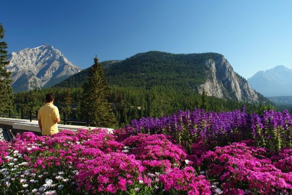 Канада национальный парк Банфф Весна