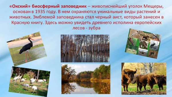 Заповедники природных зон