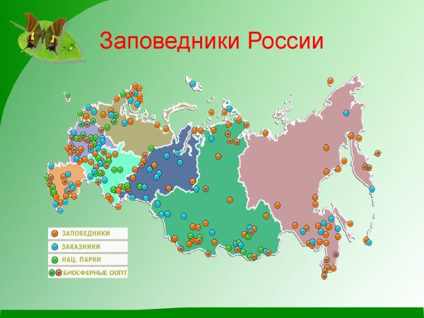 Заповедники и национальные парки России карта