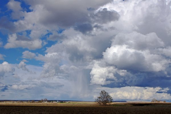 Васильев кучевое облако