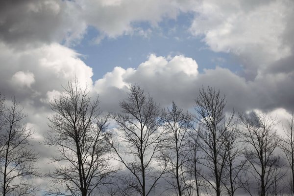 Пасмурно без осадков