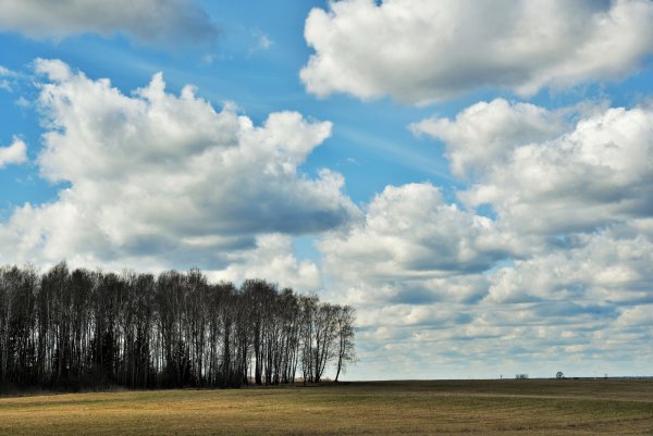 Переменчивая облачность