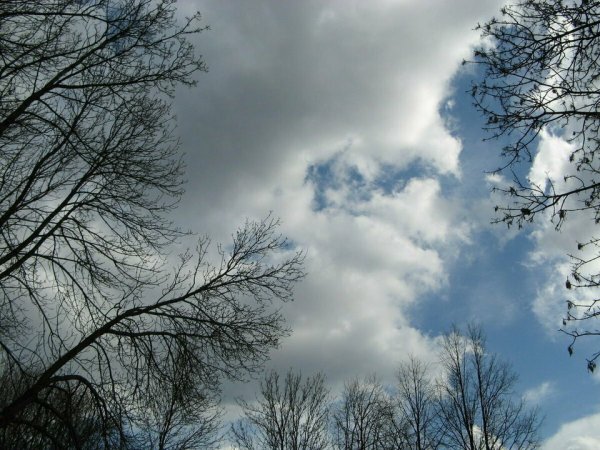 Малооблачная, без осадков.