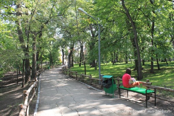 Парк им Горького Саратов