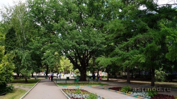 Парк Северный Саратов