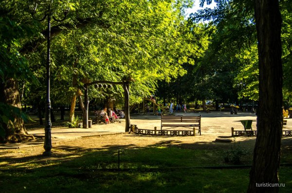 Парк Липки города Саратова