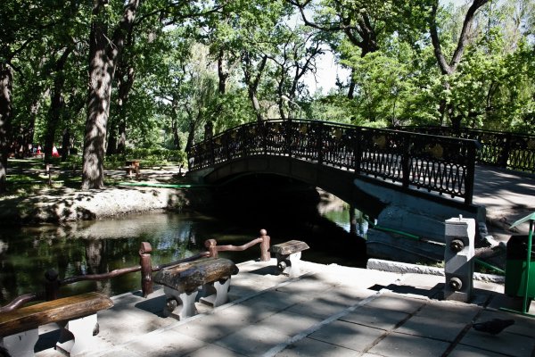 Городской парк Лукоморье Саратов