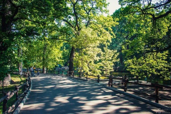 Горпарк Лукоморье Саратов