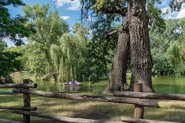 Городской парк имени Горького Саратов