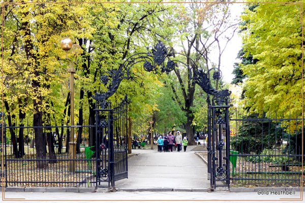 Городской сад Липки Саратов