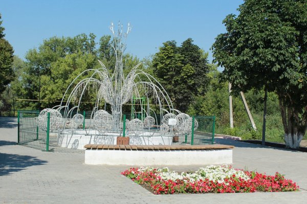 Стелла Самойловский район Саратовская область