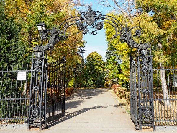 Парк Липки Саратов