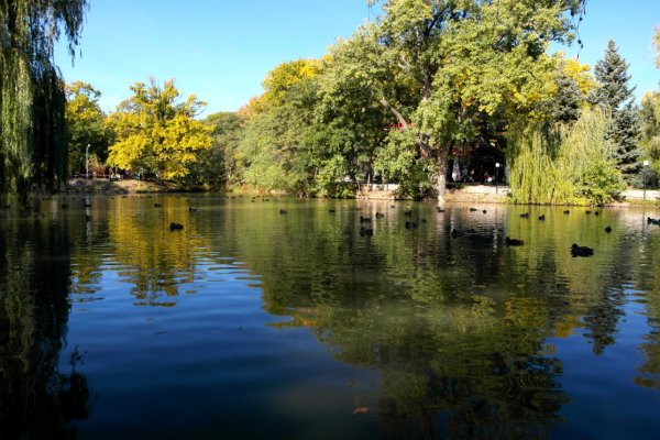 Городской парк Саратов