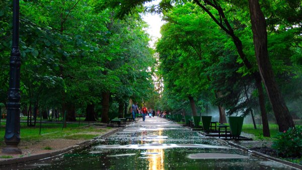 Парк Липки Саратов