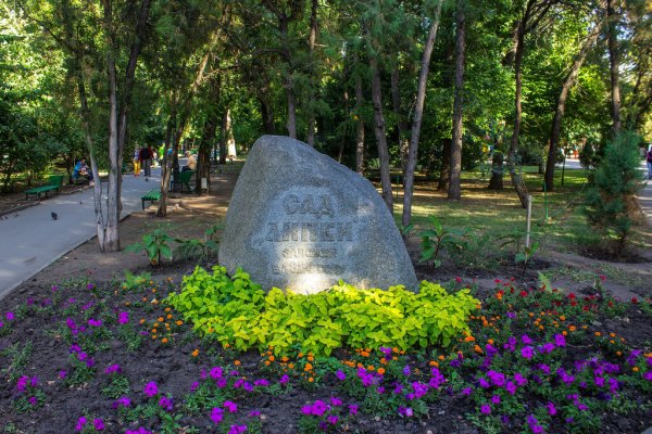 Парк Липки Саратов