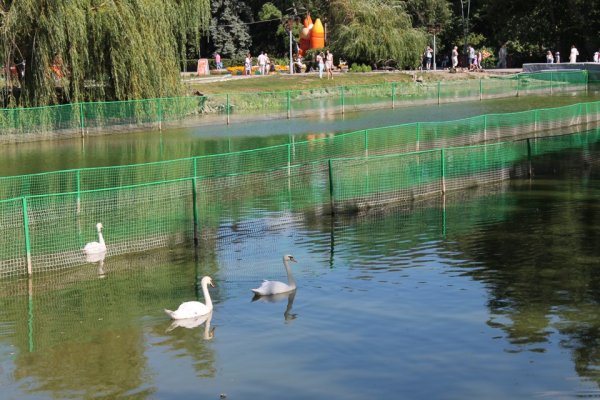 Горпарк Саратов