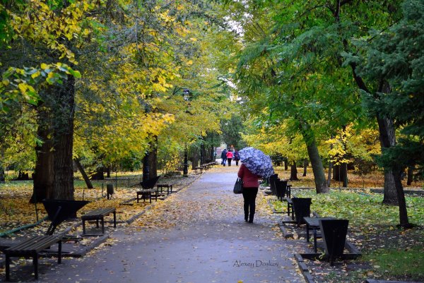 Саратов парк осенью