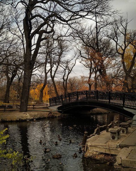 Горпарк Саратов осень